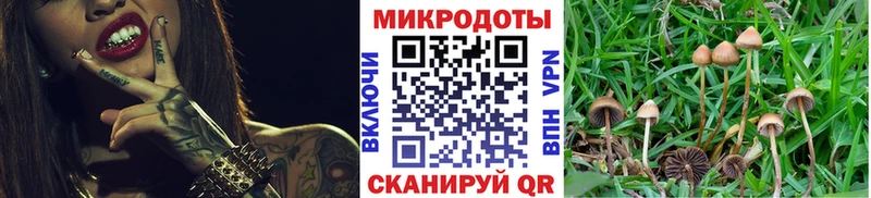 Галлюциногенные грибы ЛСД  Чадан 