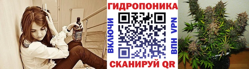 купить закладку  Чадан  kraken зеркало  Шишки марихуана план 